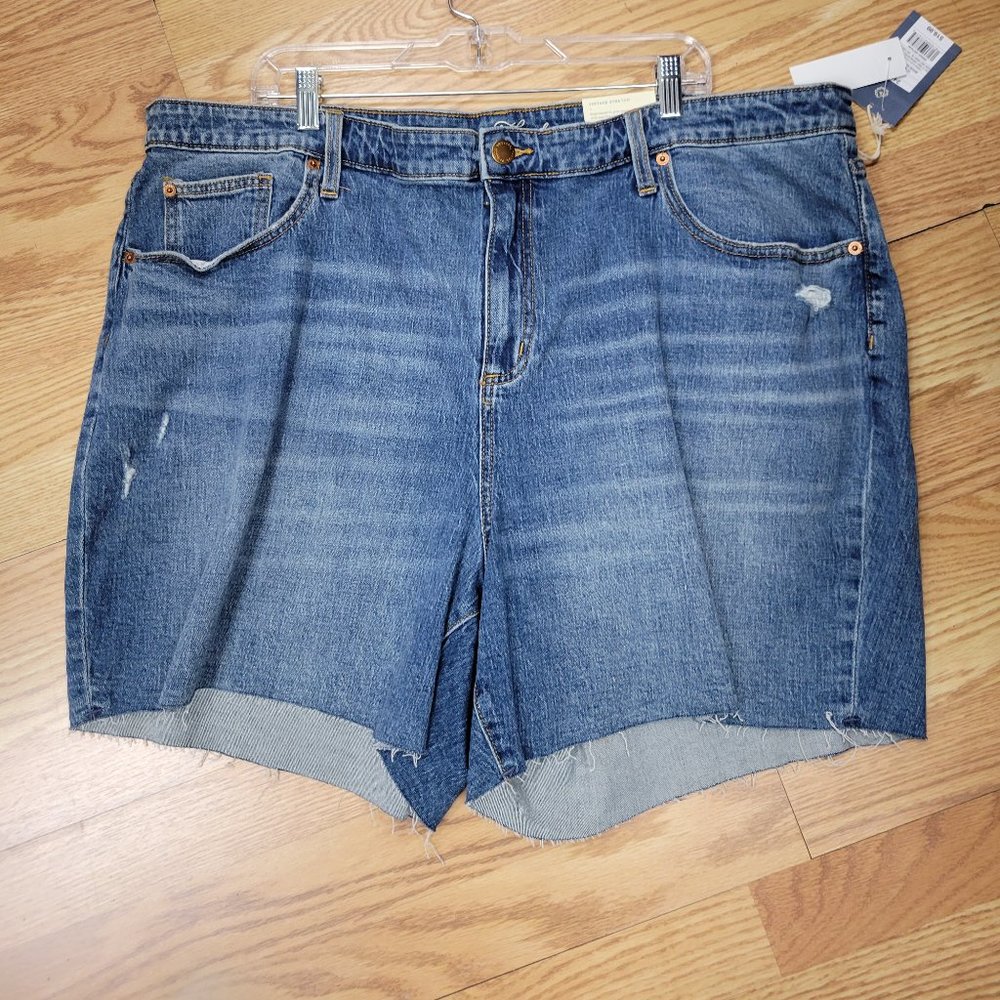 NWT UNIVERSAL THREAD DENIM SHORTS PLUS SIZE
